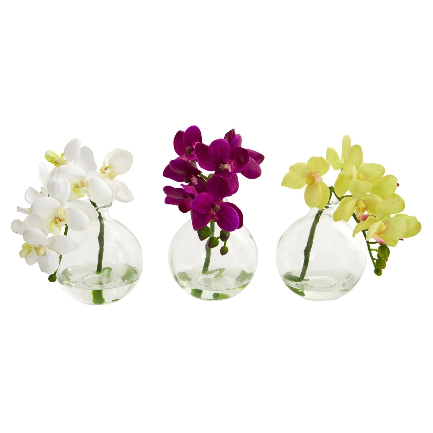 9” Phalaenopsis Orchid Artificial Arrangement In Vase (Set Of 3) 1 9” Phalaenopsis Orchid Artificial Arrangement In Vase (Set Of 3)
