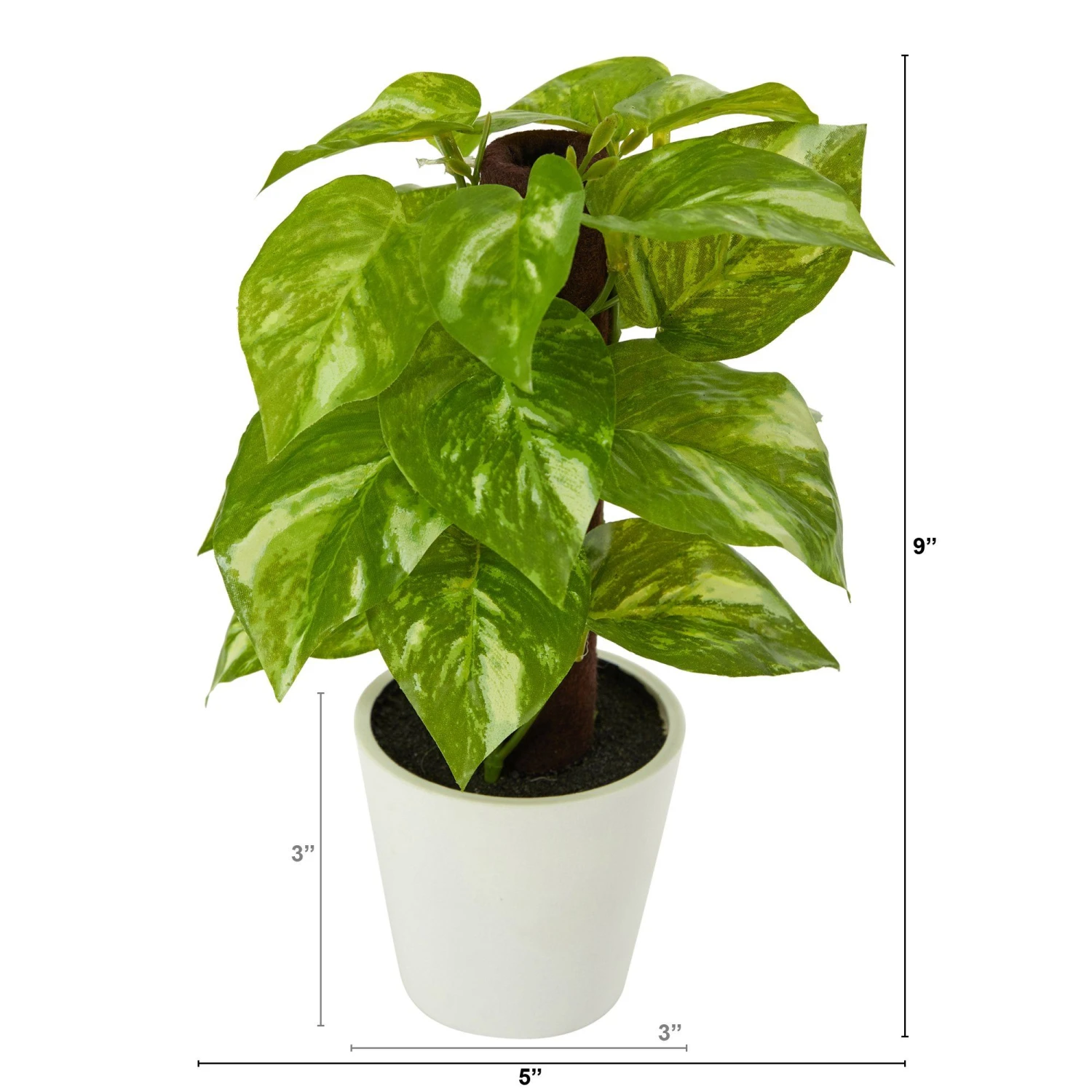 9” Artificial Pothos Plant In White Planter (Real Touch) 2 9” Artificial Pothos Plant In White Planter (Real Touch) - Image 2