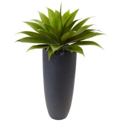 Agave In Gray Cylinder Planter