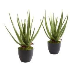Aloe Artificial Plant (Set Of 2)