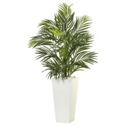 Areca Palm In White Square Planter UV Safe
