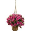 Azalea Hanging Basket