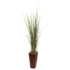 Bamboo Grass In Bamboo Planter