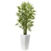 Bamboo Tree With White Planter UV Resistant (Indoor/Outdoor)