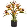 Bird Of Paradise In Black Glossy Cylinder