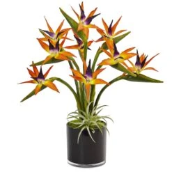 Bird Of Paradise In Black Glossy Cylinder