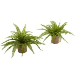 Boston Fern W/Burlap Planter (Set Of 2)