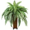 Boston Fern W/Decorative Wood Vase Silk Plant