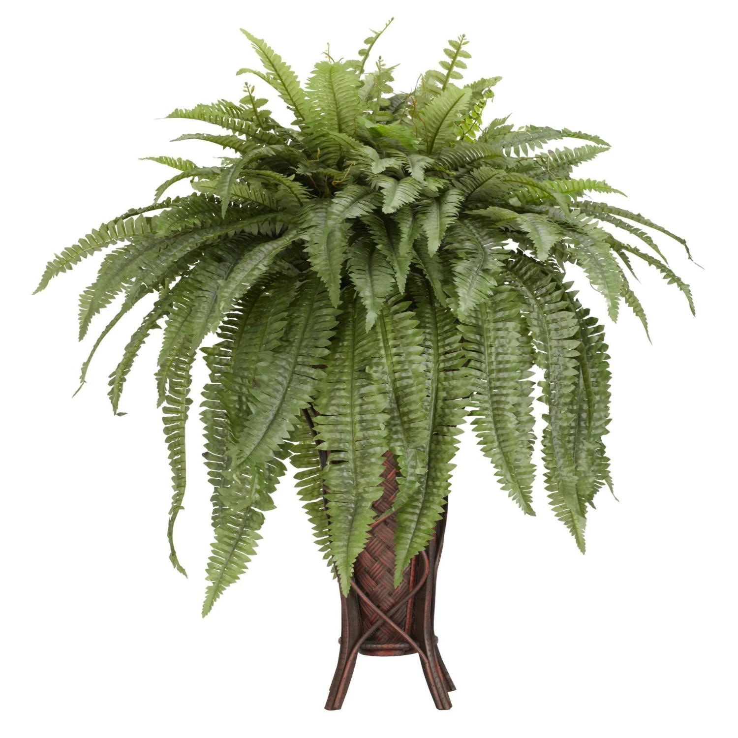 Boston Fern W/Stand Silk Plant 1 Boston Fern W/Stand Silk Plant