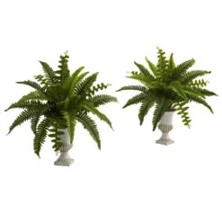 Boston Fern W/Urn (Set Of 2)