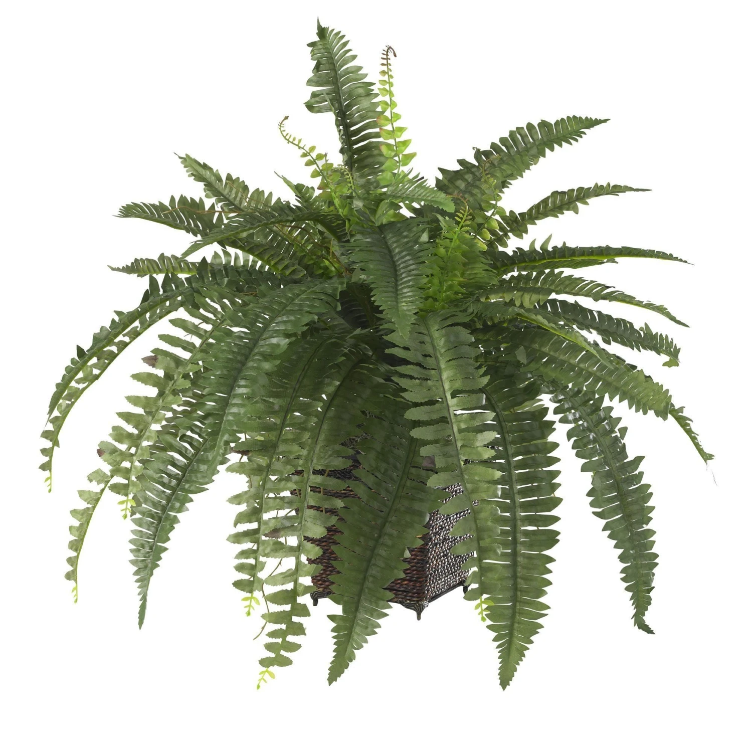 Boston Fern W/Wood Wicker Basket Silk Plant 2 Boston Fern W/Wood Wicker Basket Silk Plant - Image 2