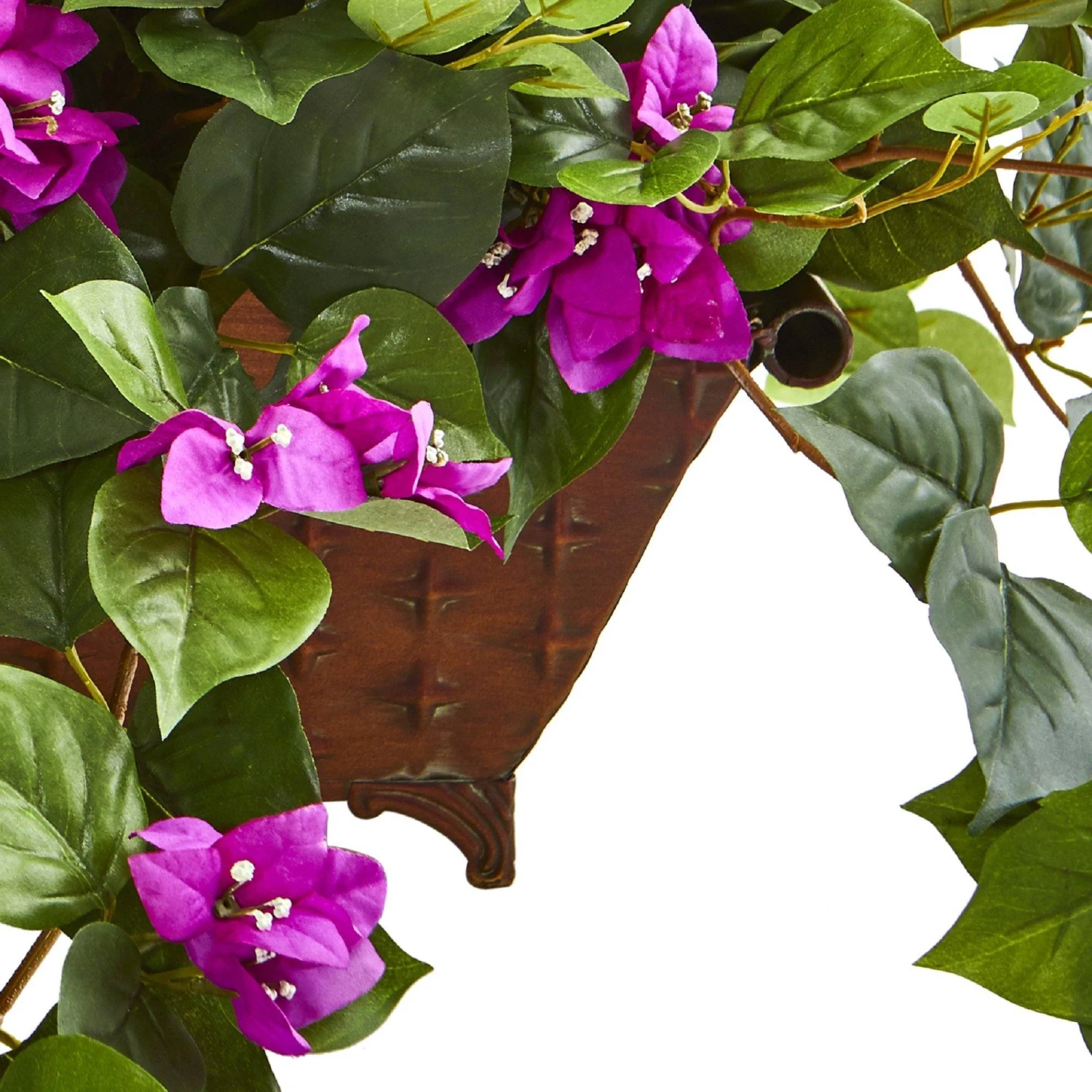 Bougainvillea In Metal Planter 5 Bougainvillea In Metal Planter - Image 5