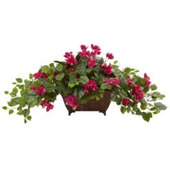 Bougainvillea In Metal Planter