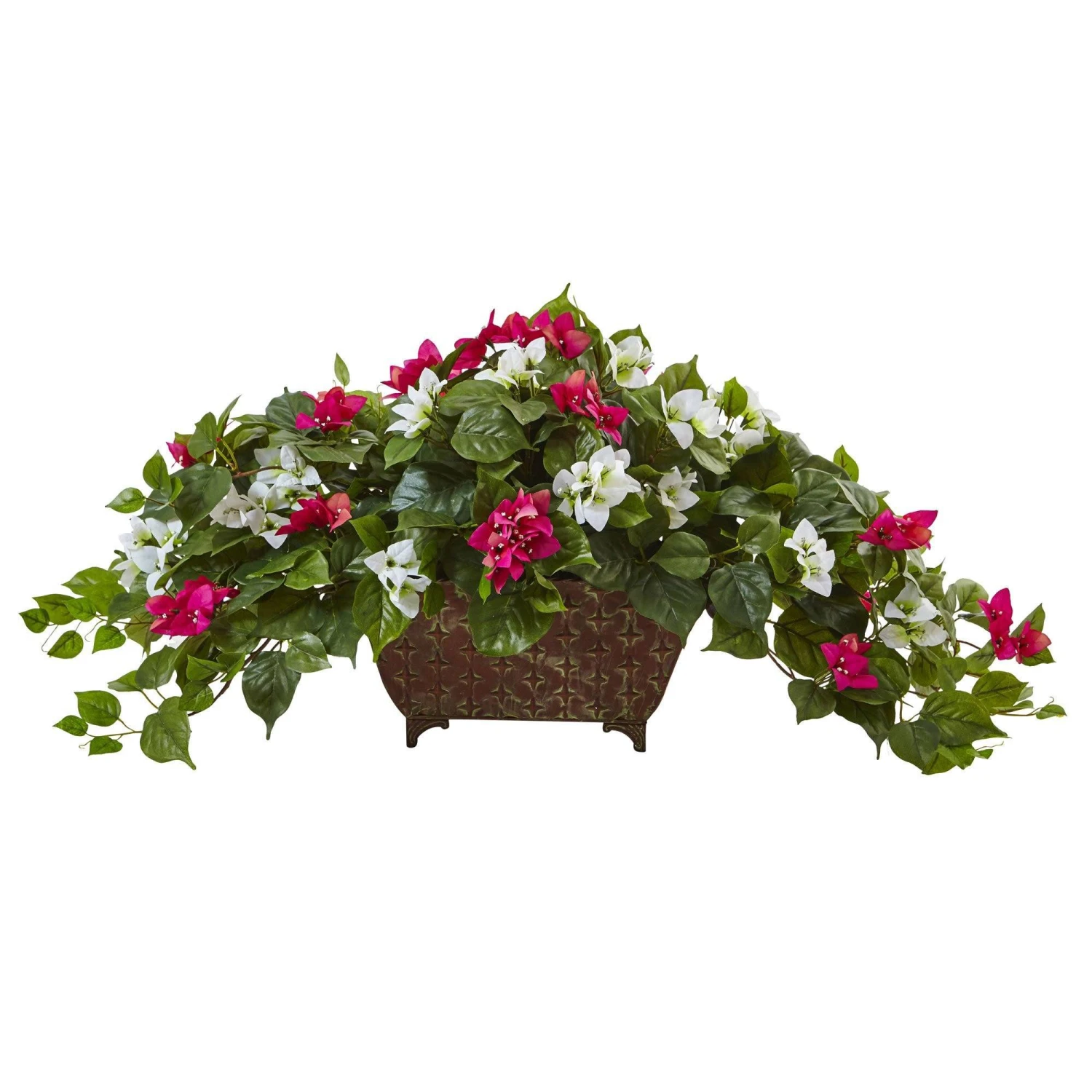 Bougainvillea In Metal Planter 2 Bougainvillea In Metal Planter - Image 2