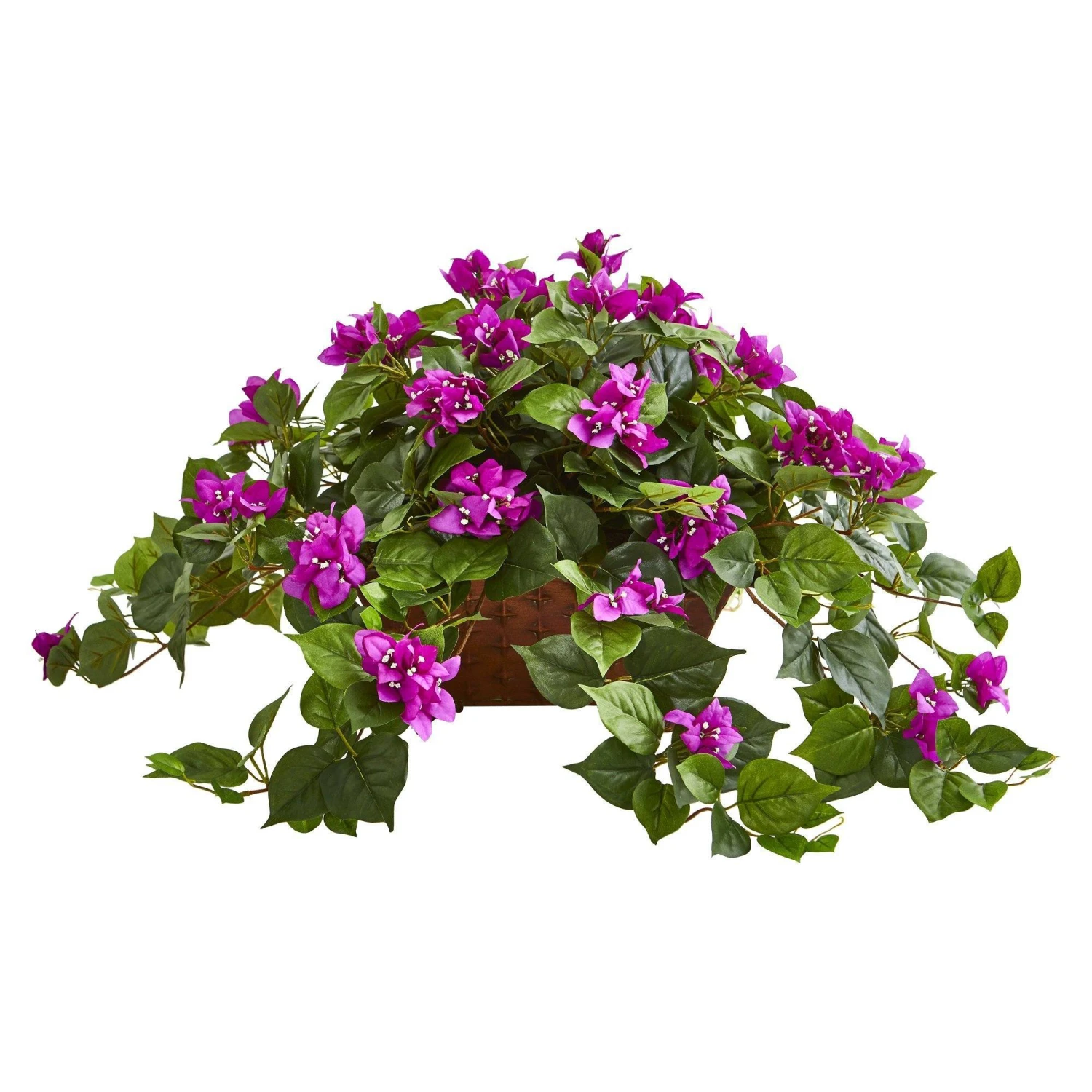 Bougainvillea In Metal Planter 4 Bougainvillea In Metal Planter - Image 4