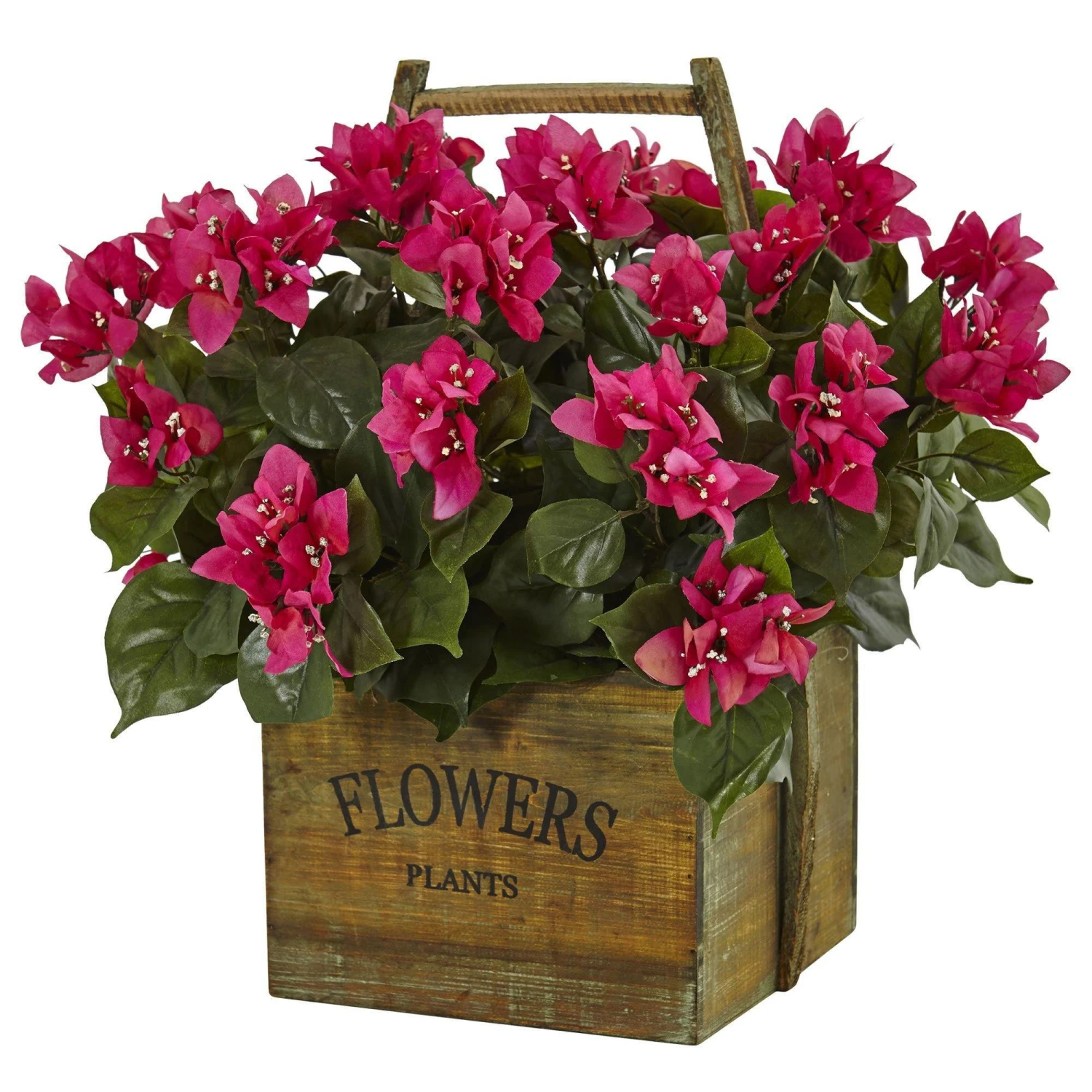 Bougainvillea In Rustic Wood Planter 1 Bougainvillea In Rustic Wood Planter
