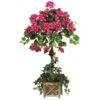 Bougainvillea Topiary W/Wood Box