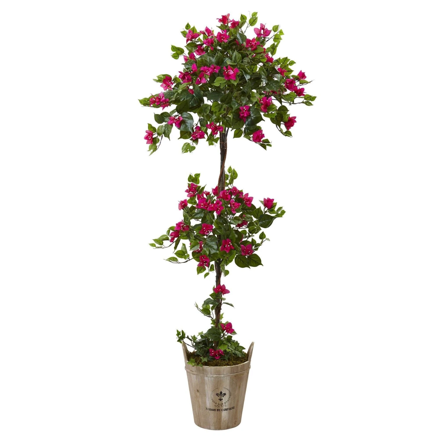 Bougainvillea Tree With European Barrel Planter 1 Bougainvillea Tree With European Barrel Planter