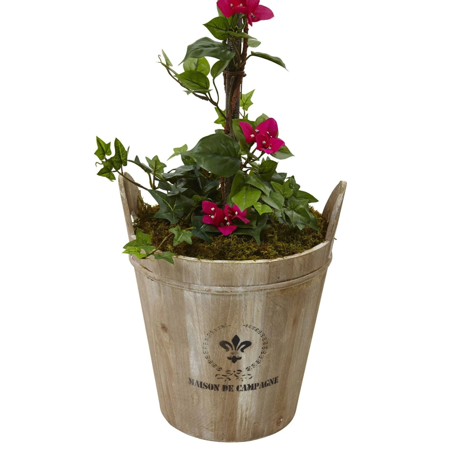Bougainvillea Tree With European Barrel Planter 3 Bougainvillea Tree With European Barrel Planter - Image 3