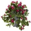 Bougainvillea With Decorative Urn