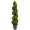 Boxwood Spiral Topiary With Planter (Indoor/Outdoor)