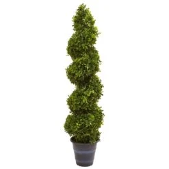 Boxwood Spiral Topiary With Planter (Indoor/Outdoor)