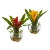 Bromeliad With Vase Arrangement (Set Of 2)
