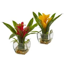 Bromeliad With Vase Arrangement (Set Of 2)
