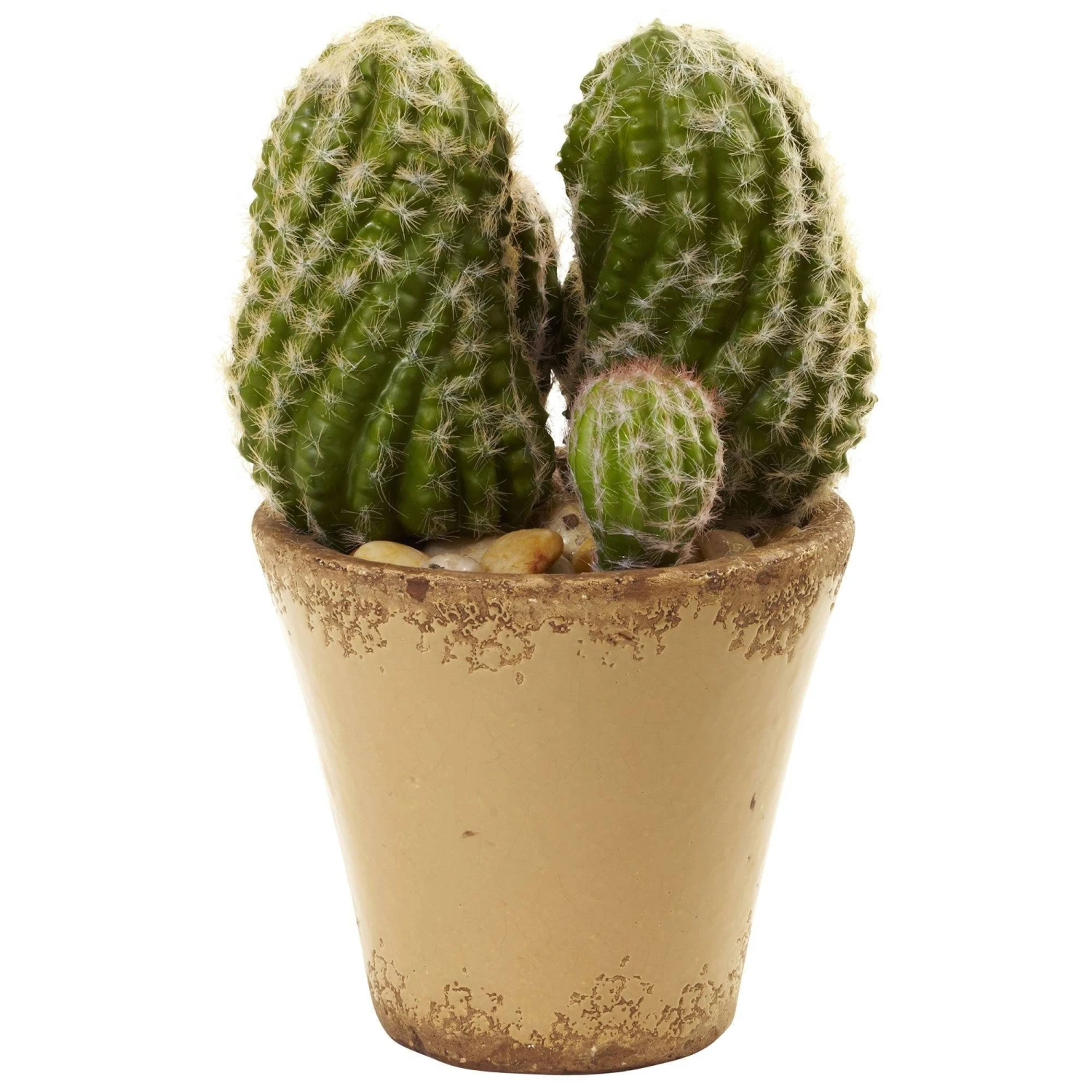 Cactus Garden W/Ceramic Planter 2 Cactus Garden W/Ceramic Planter - Image 2