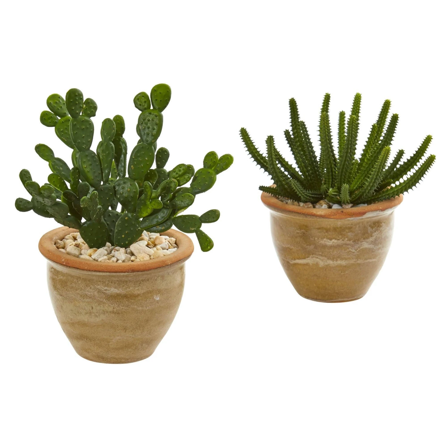 Cactus Succulent Artificial Plant In Ceramic Vase (Set Of 2) 1 Cactus Succulent Artificial Plant In Ceramic Vase (Set Of 2)
