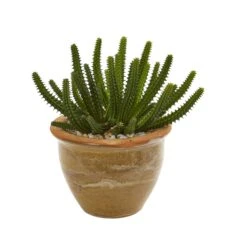 Cactus Succulent Artificial Plant In Ceramic Vase (Set Of 2) 5 Cactus Succulent Artificial Plant In Ceramic Vase (Set Of 2) -Artificial Trees Store artificial cactus succulent artificial plant in ceramic vase set of 2 nearly natural 397911
