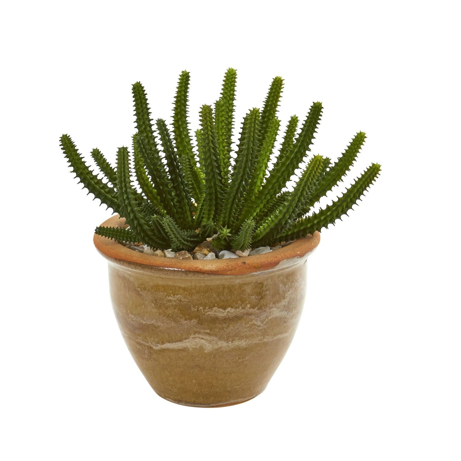 Cactus Succulent Artificial Plant In Ceramic Vase (Set Of 2) 3 Cactus Succulent Artificial Plant In Ceramic Vase (Set Of 2) - Image 3