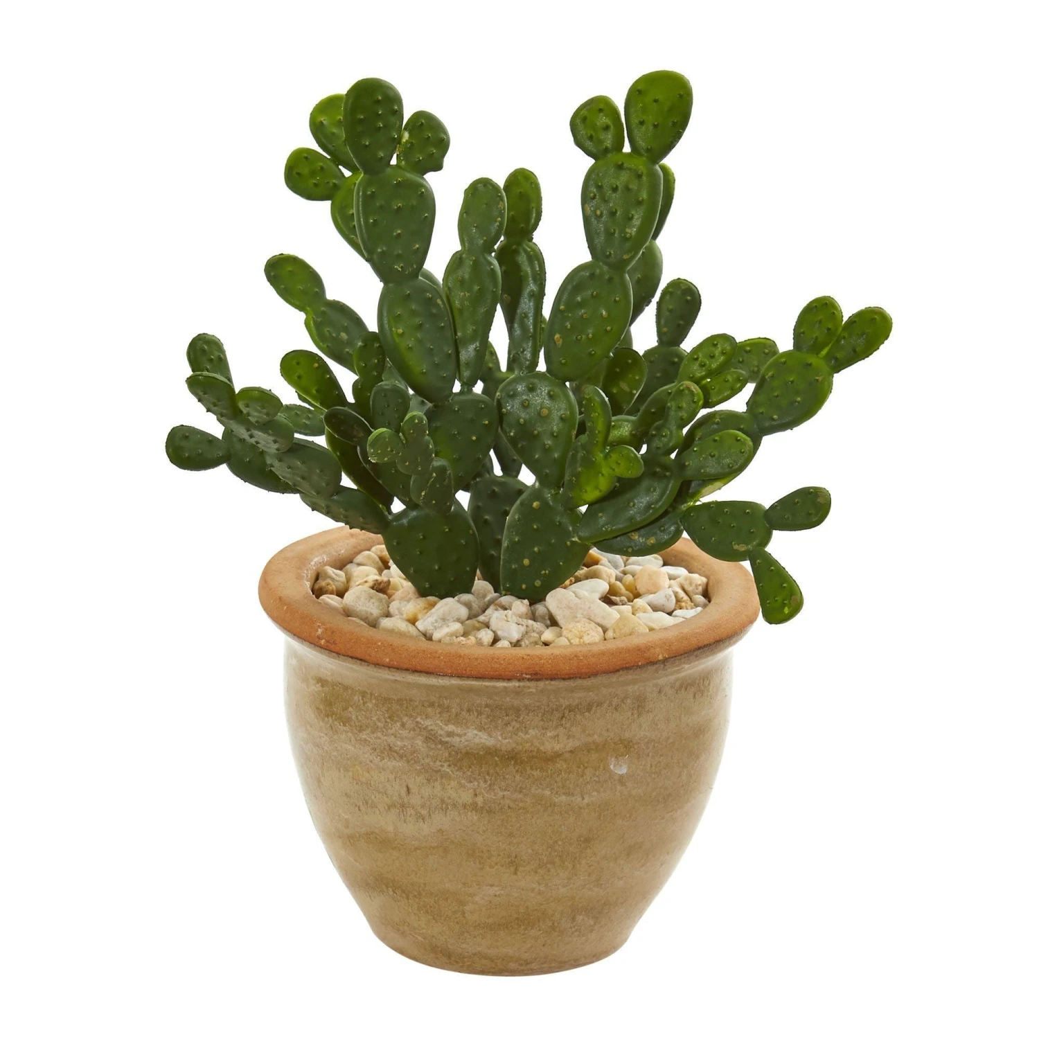 Cactus Succulent Artificial Plant In Ceramic Vase (Set Of 2) 2 Cactus Succulent Artificial Plant In Ceramic Vase (Set Of 2) - Image 2
