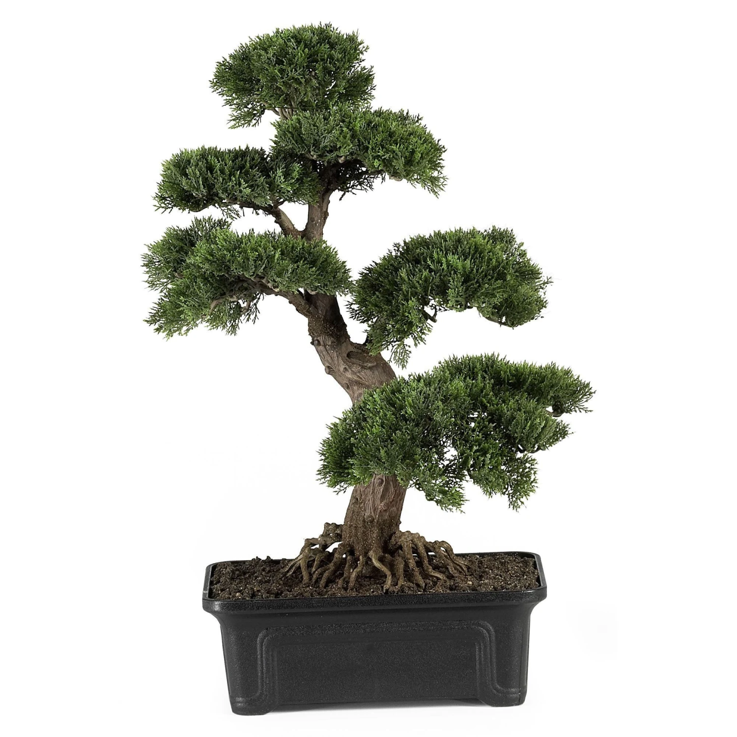 Cedar Bonsai 24" Silk Plant" 1 Cedar Bonsai 24" Silk Plant"