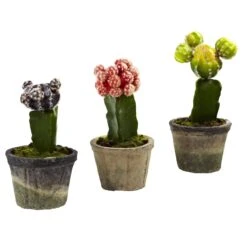 Colorful Cactus (Set Of 3)