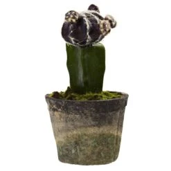 Colorful Cactus (Set Of 3) 6 Colorful Cactus (Set Of 3) -Artificial Trees Store artificial colorful cactus set of 3 nearly natural 940218