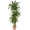 Corn Stalk Dracaena Silk Plant (Real Touch)