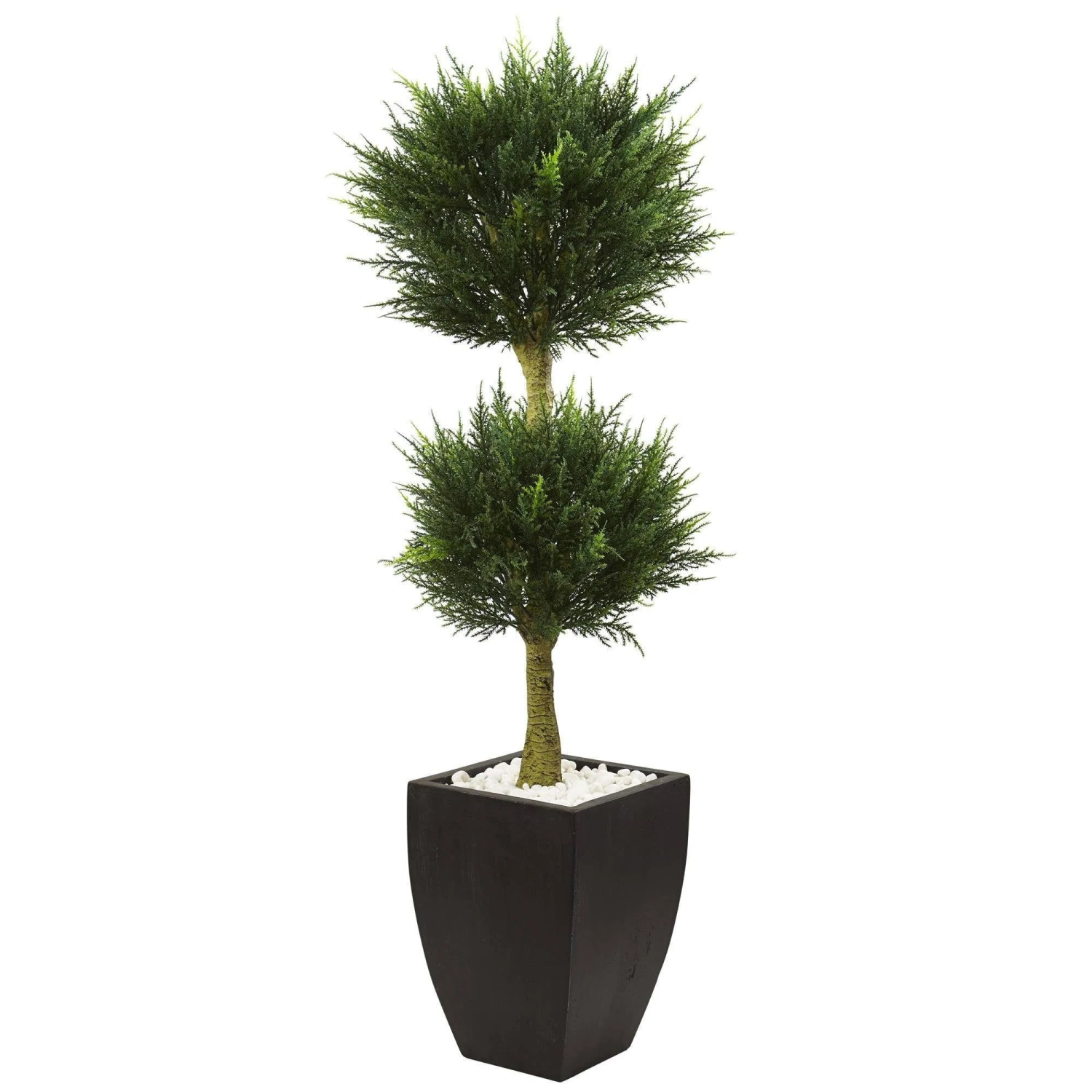 Cypress Topiary With Black Planter UV Resistant (Indoor/Outdoor) 1 Cypress Topiary With Black Planter UV Resistant (Indoor/Outdoor)