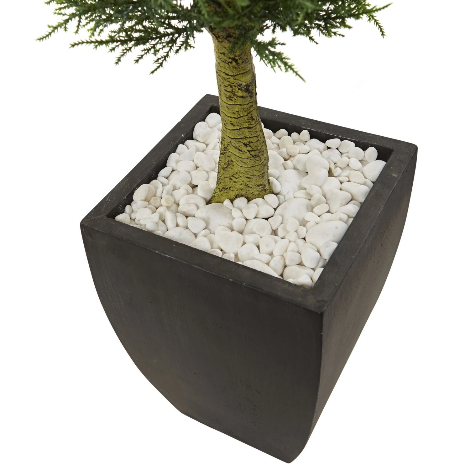 Cypress Topiary With Black Planter UV Resistant (Indoor/Outdoor) 2 Cypress Topiary With Black Planter UV Resistant (Indoor/Outdoor) - Image 2