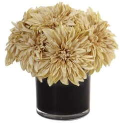 Dahlia Mum In Black Glossy Cylinder