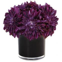 Dahlia Mum In Black Glossy Cylinder 5 Dahlia Mum In Black Glossy Cylinder -Artificial Trees Store artificial dahlia mum in black glossy cylinder nearly natural purple 691993
