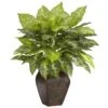 Dieffenbachia W/Decorative Vase Silk Plant