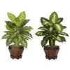 Dieffenbachia W/Wood Vase Silk Plant (Set Of 2)