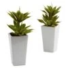 Double Mini Agave W/Planter (Set Of 2)