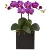 Double Mini Phalaenopsis In Black Vase