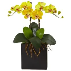 Double Mini Phalaenopsis In Black Vase -Artificial Trees Store artificial double mini phalaenopsis in black vase nearly natural yellow 521902