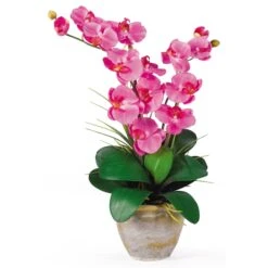 Double Stem Phalaenopsis Silk Orchid Arrangement -Artificial Trees Store artificial double stem phalaenopsis silk orchid arrangement nearly natural dark pink 755147