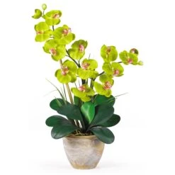 Double Stem Phalaenopsis Silk Orchid Arrangement -Artificial Trees Store artificial double stem phalaenopsis silk orchid arrangement nearly natural green 882166
