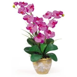Double Stem Phalaenopsis Silk Orchid Arrangement -Artificial Trees Store artificial double stem phalaenopsis silk orchid arrangement nearly natural orchid 721830