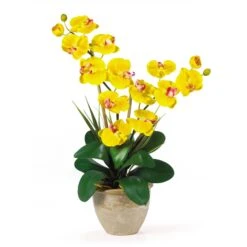Double Stem Phalaenopsis Silk Orchid Arrangement -Artificial Trees Store artificial double stem phalaenopsis silk orchid arrangement nearly natural yellow 237986